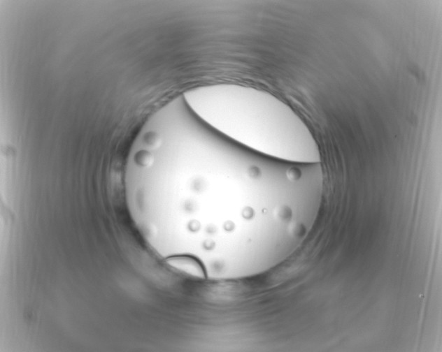 X0000091330527200708101004