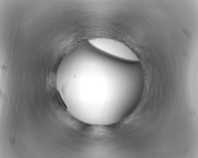 X0000091330528200708101004