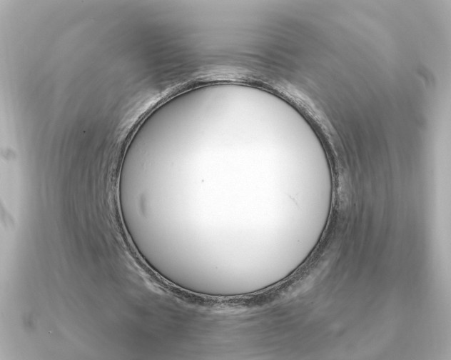 X0000091330529200708101003