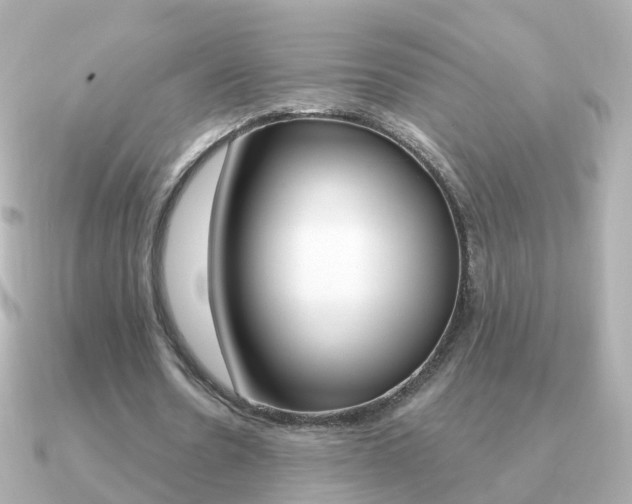 X0000091330530200708101003