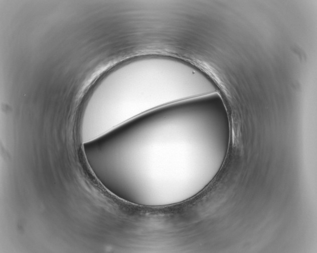 X0000091330531200708101003