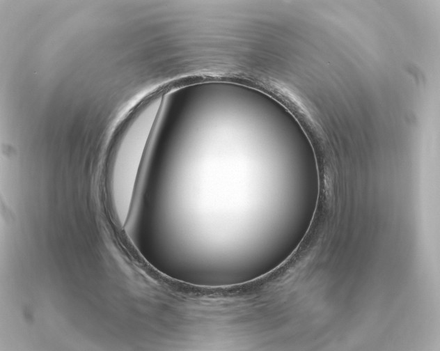 X0000091330532200708101003