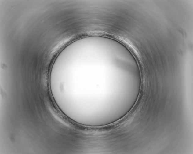 X0000091330533200708101003