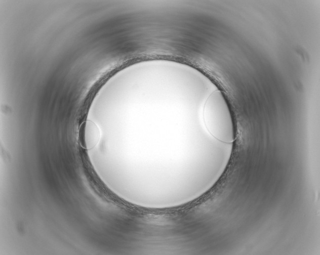 X0000091330534200708101003