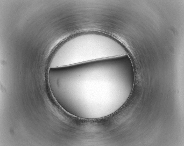 X0000091330535200708101003