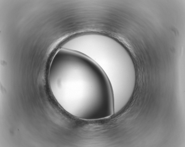 X0000091330536200708101003