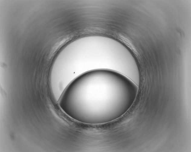 X0000091330538200708101003