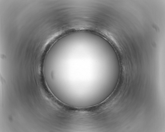 X0000091330539200708101003