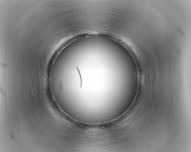 X0000091330540200708101003