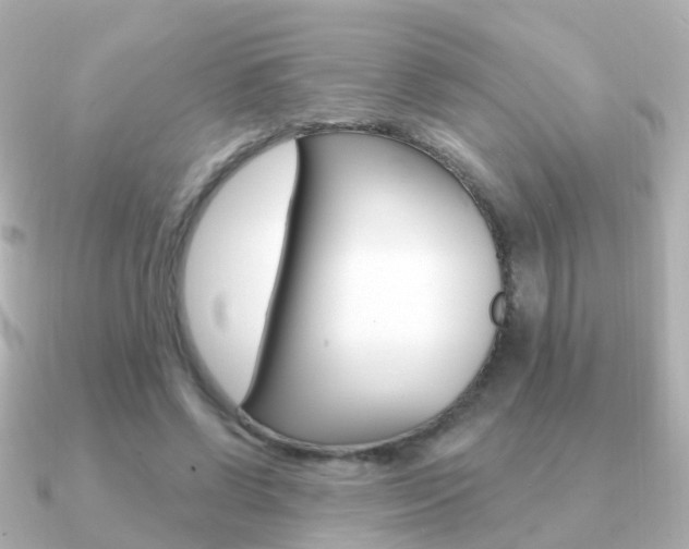X0000091330542200708101003