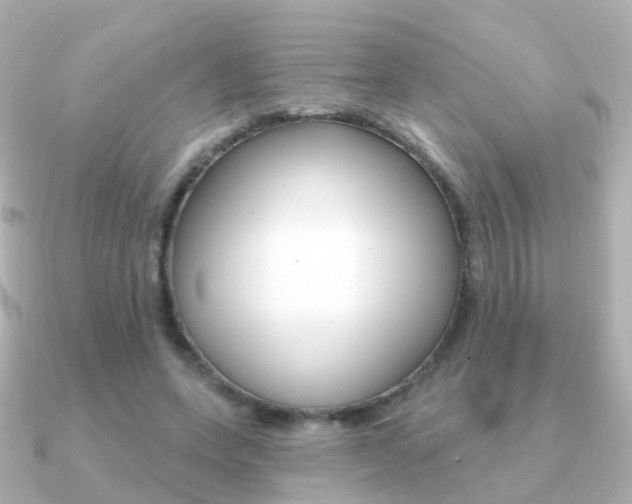 X0000091330543200708101003