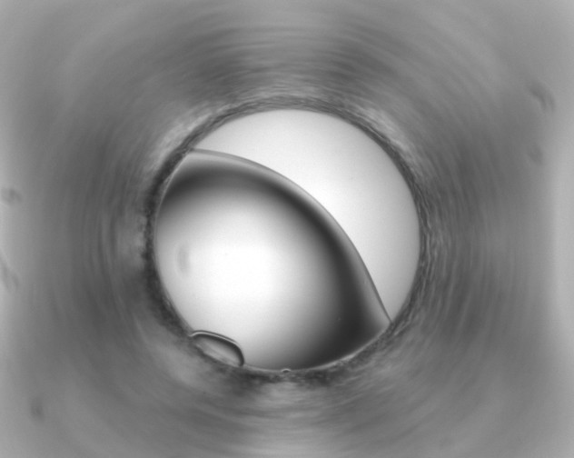 X0000091330544200708101003