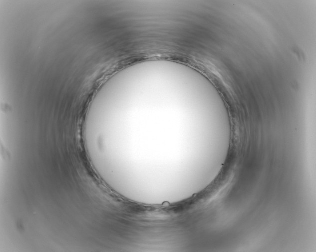 X0000091330545200708101003