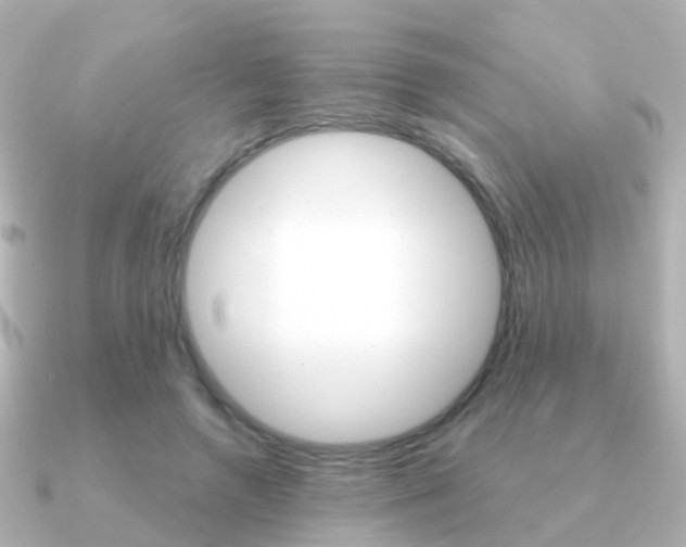 X0000091330546200708101003