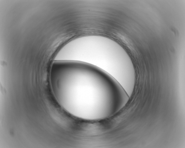 X0000091330548200708101003