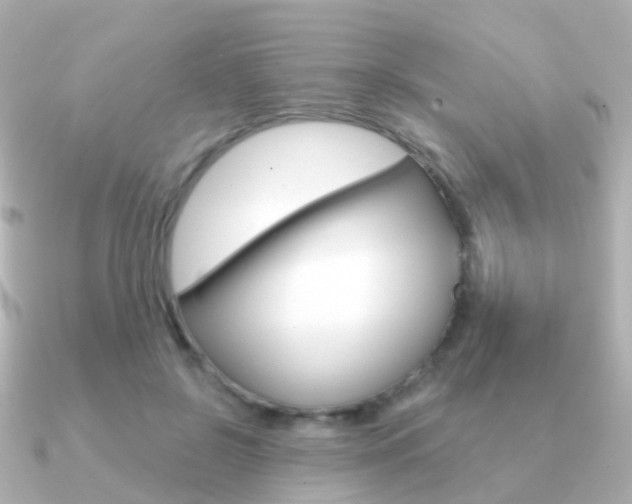 X0000091330550200708101003