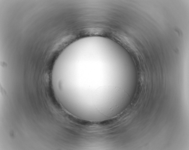 X0000091330551200708101003