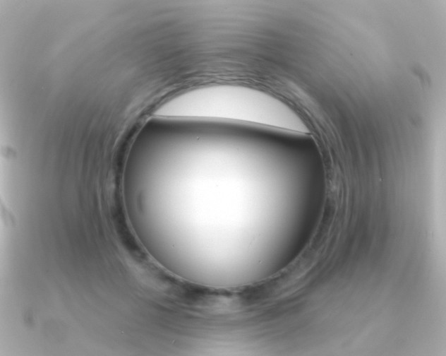 X0000091330552200708101003