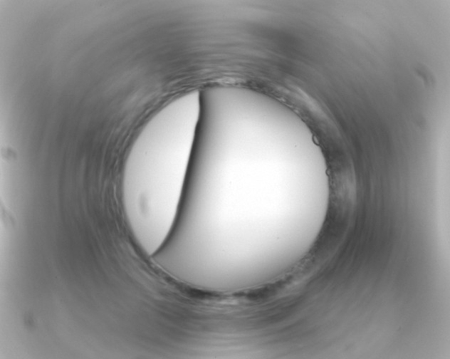 X0000091330553200708101003