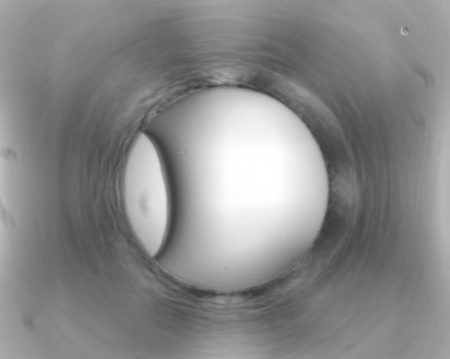 X0000091330554200708101003