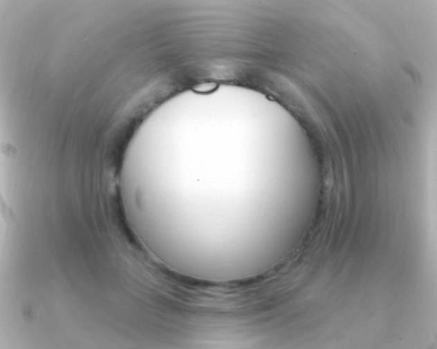 X0000091330555200708101003