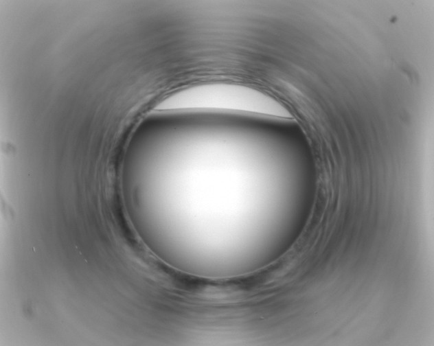 X0000091330556200708101003
