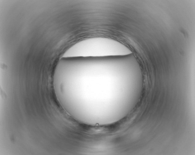 X0000091330557200708101003