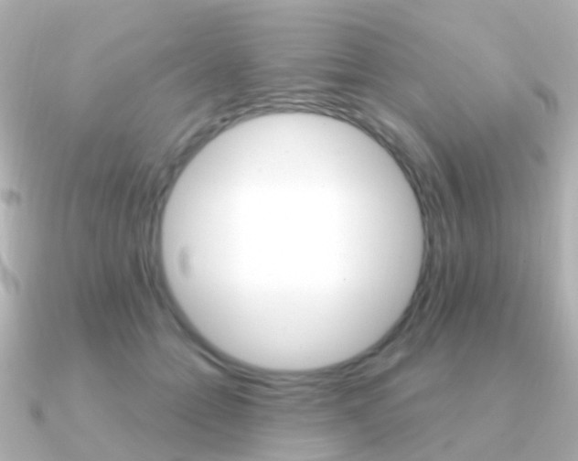 X0000091330558200708101003