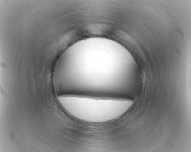 X0000091330559200708101003