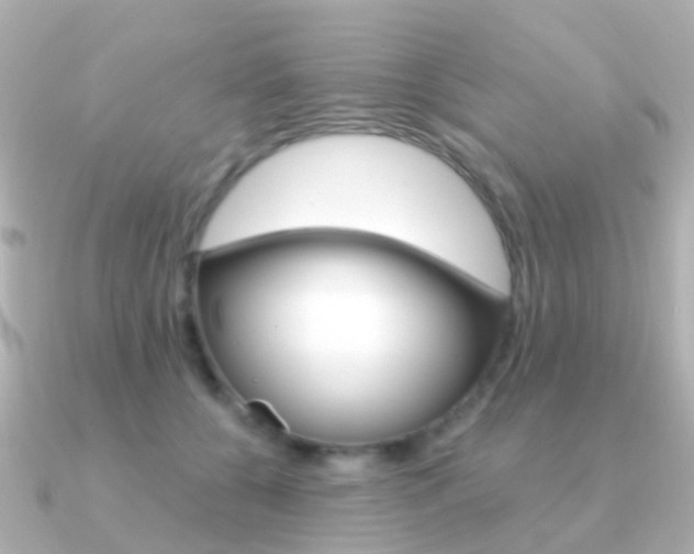 X0000091330560200708101003
