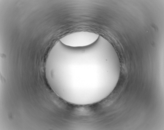 X0000091330561200708101003