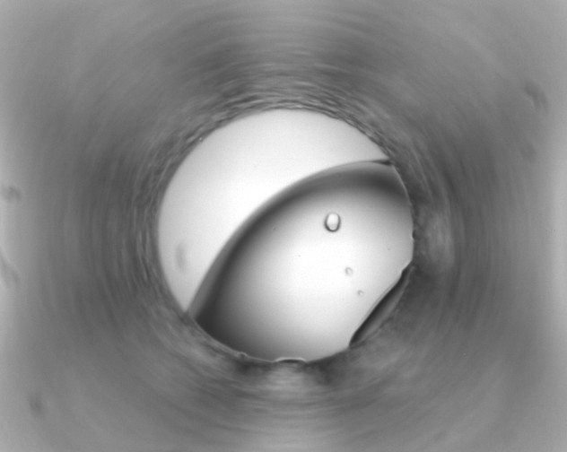 X0000091330562200708101003