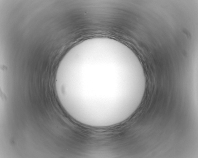 X0000091330564200708101003