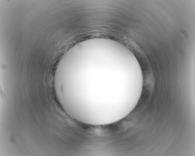 X0000091330565200708101003
