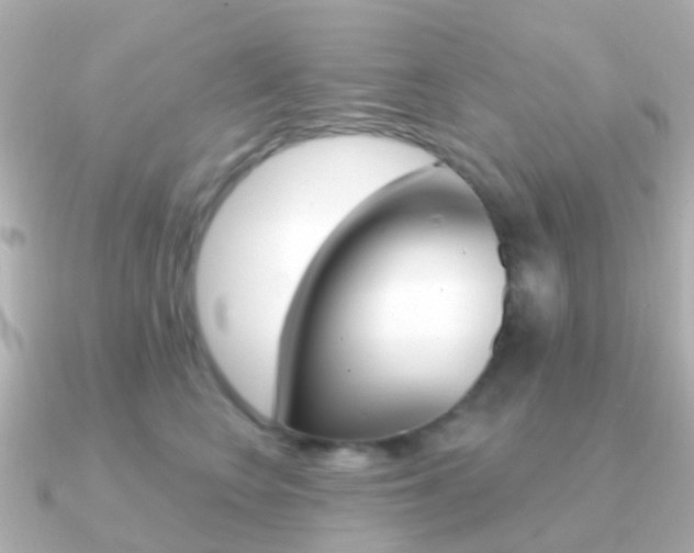 X0000091330566200708101004