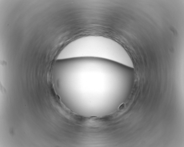 X0000091330568200708101004