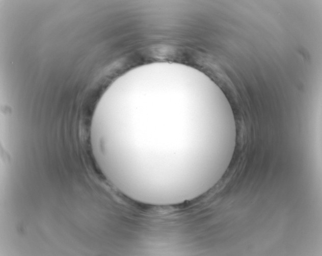 X0000091330569200708101004