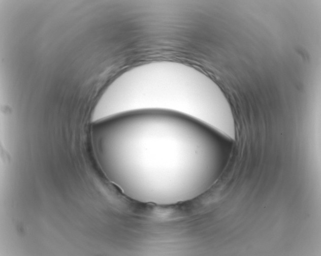 X0000091330570200708101004