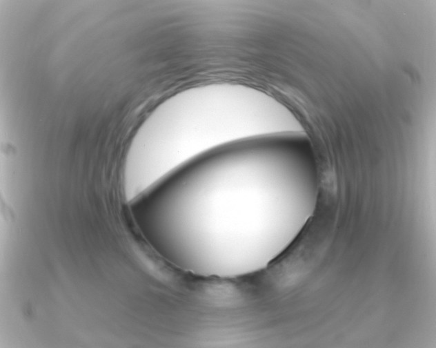 X0000091330572200708101004