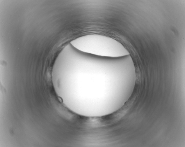 X0000091330573200708101004