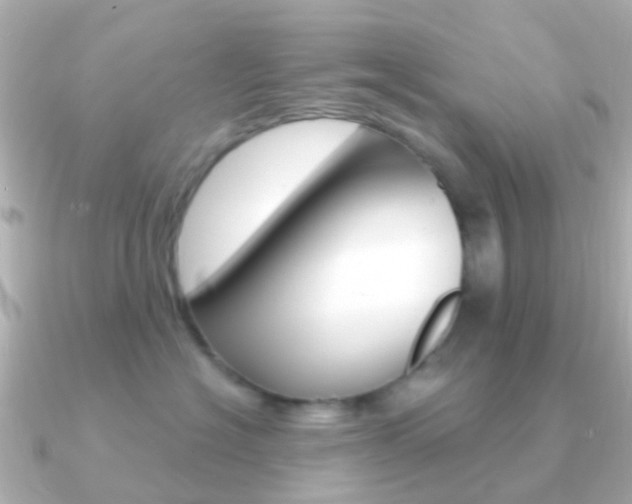 X0000091330574200708101004