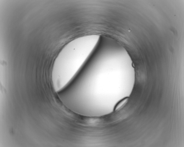 X0000091330575200708101004
