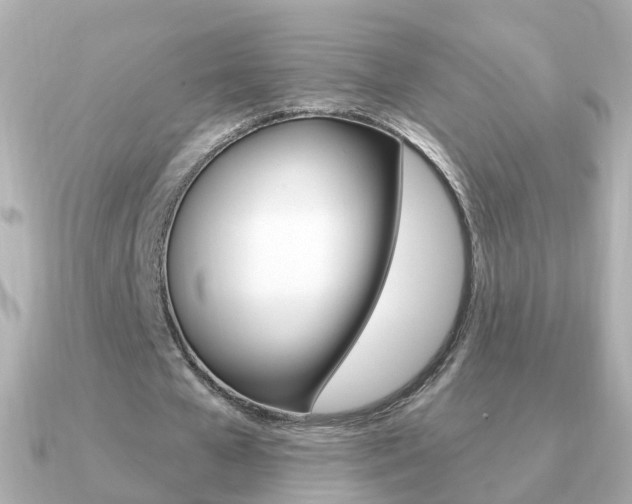 X0000091330577200708101003