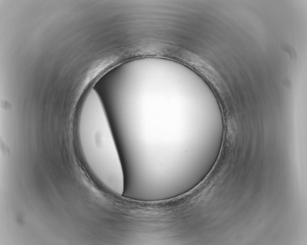 X0000091330578200708101003