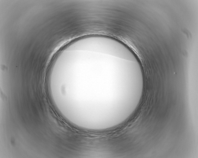 X0000091330579200708101003