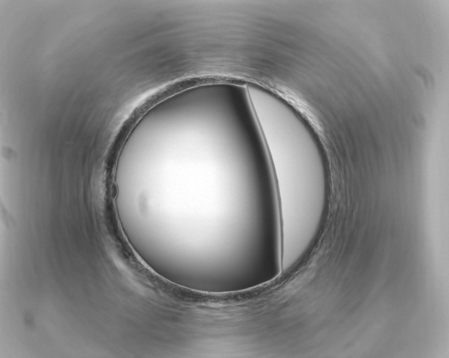 X0000091330580200708101003