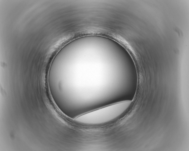 X0000091330581200708101003