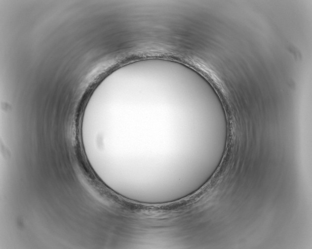 X0000091330582200708101003