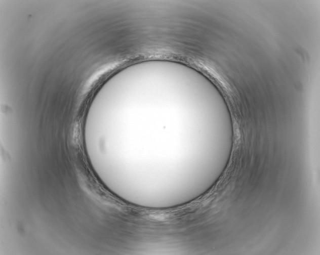 X0000091330583200708101003
