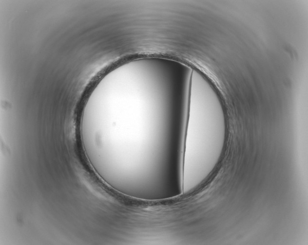 X0000091330584200708101003